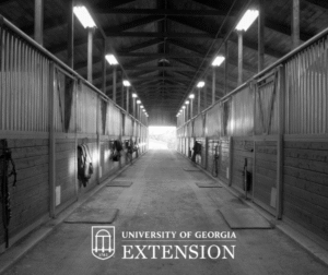 Barn Sanitation & Biosecurity: A Practical Guide for Every Horse Facility